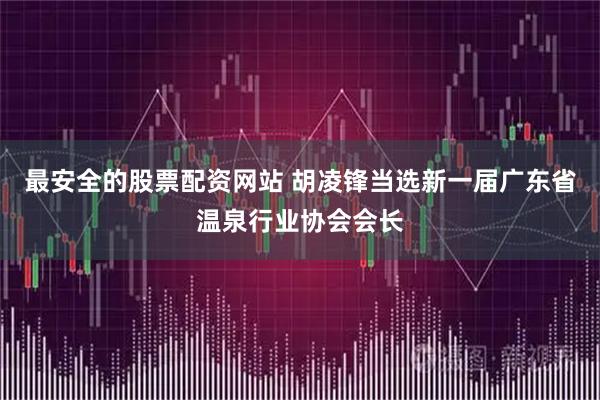 最安全的股票配資網站 胡凌鋒當選新一屆廣東省溫泉行業協會會長